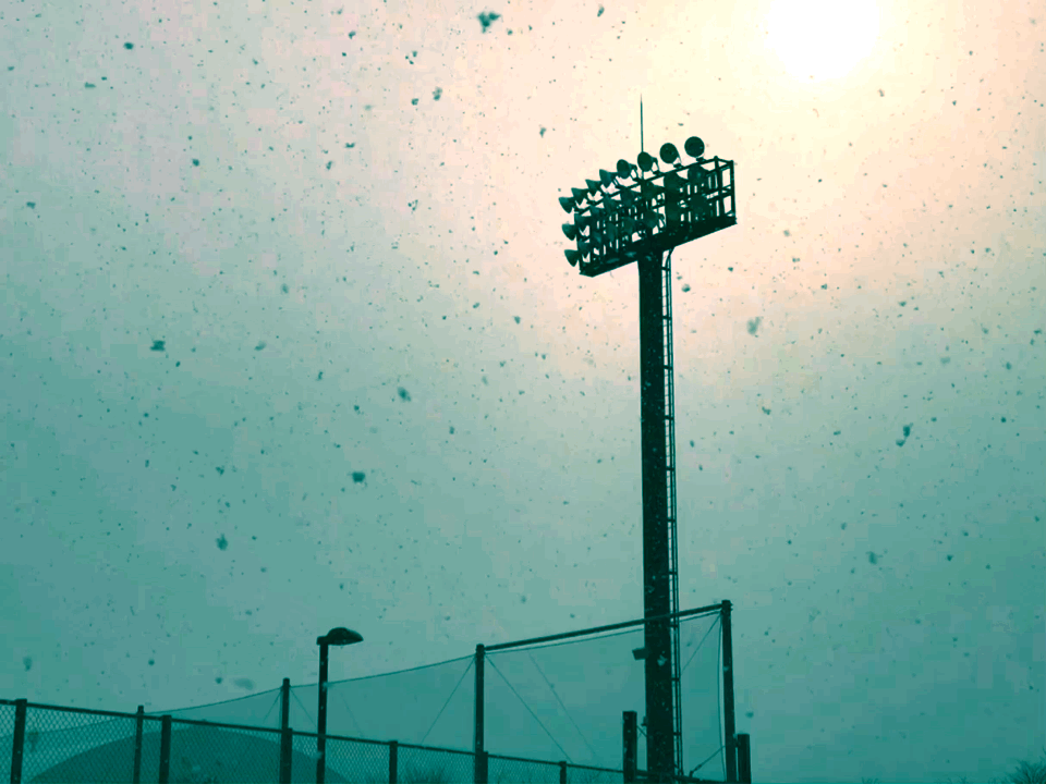 f:id:one00one:20171217103645g:plain f:id:one00one:20171217103645g:plain