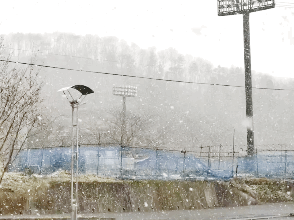 f:id:one00one:20171217103851g:plain f:id:one00one:20171217103851g:plain