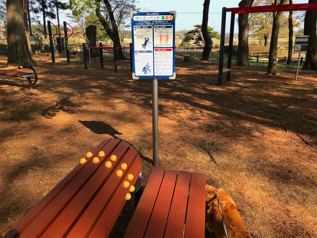 f:id:one00one:20180420185651j:plain f:id:one00one:20180420185651j:plain