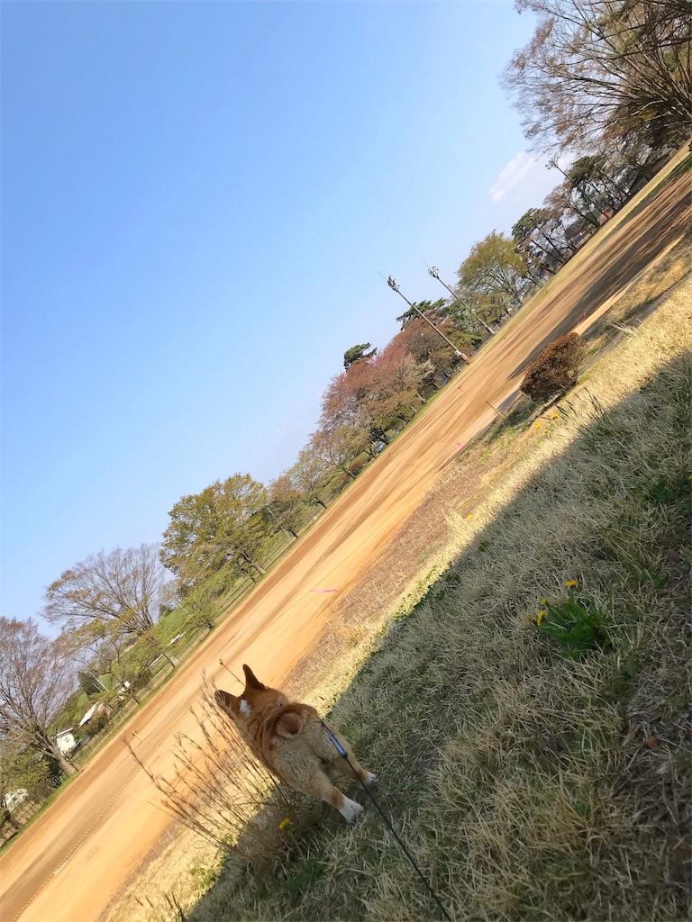 f:id:one00one:20180420185657j:plain f:id:one00one:20180420185657j:plain