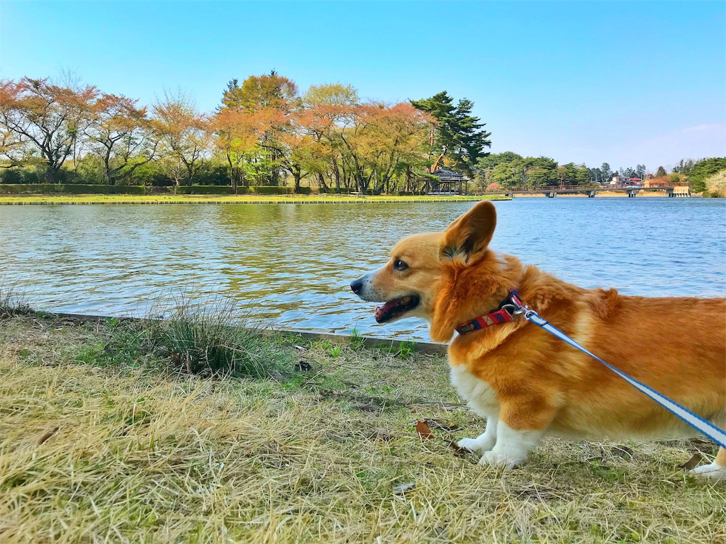 f:id:one00one:20180420185743j:plain f:id:one00one:20180420185743j:plain