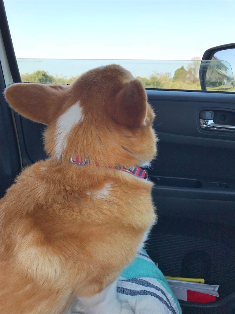 f:id:one00one:20180420185808j:plain f:id:one00one:20180420185808j:plain