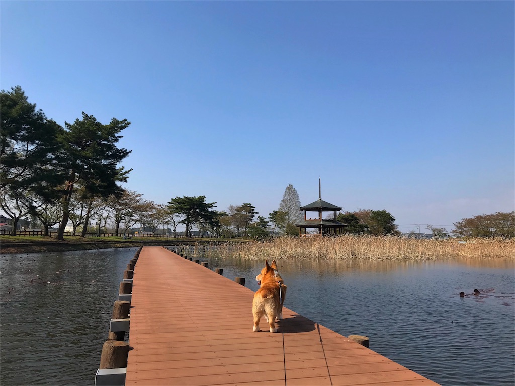 f:id:one00one:20180420191307j:plain f:id:one00one:20180420191307j:plain