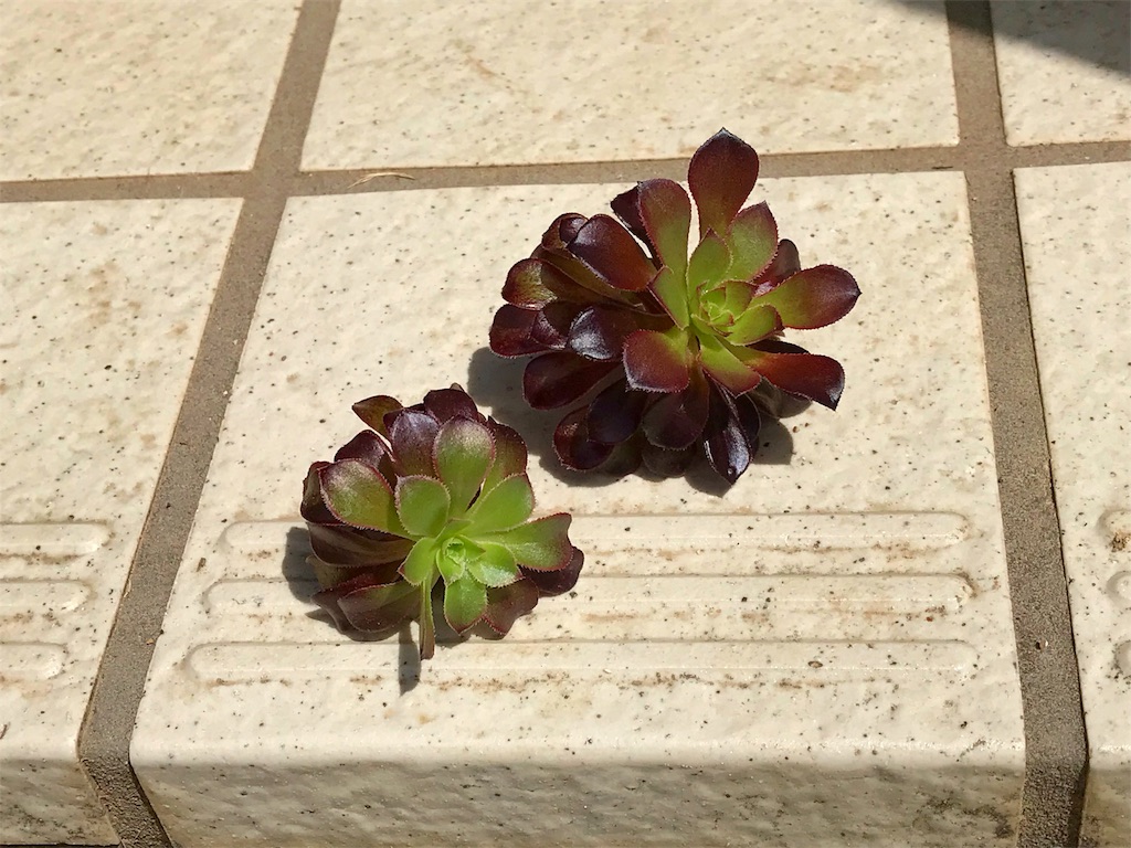 f:id:one00one:20180516180921j:plain
