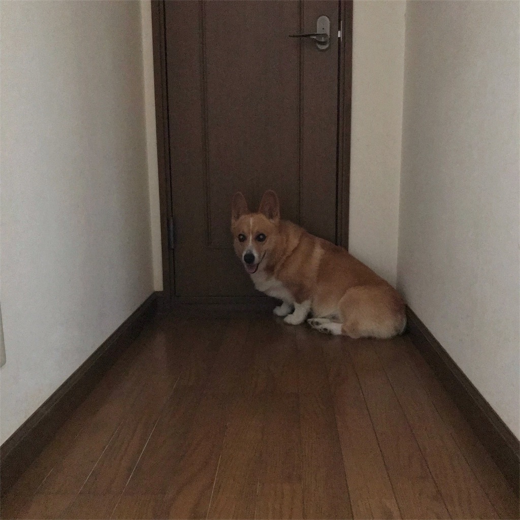 f:id:one00one:20180816111955j:plain f:id:one00one:20180816111955j:plain