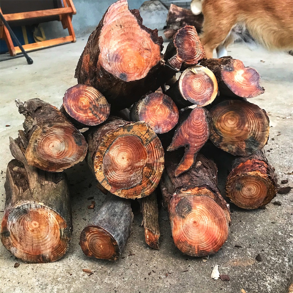 f:id:one00one:20200114083728j:plain f:id:one00one:20200114083728j:plain