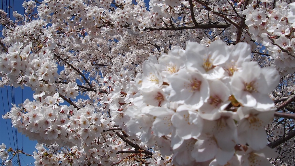 f:id:one00one:20200411112706j:image