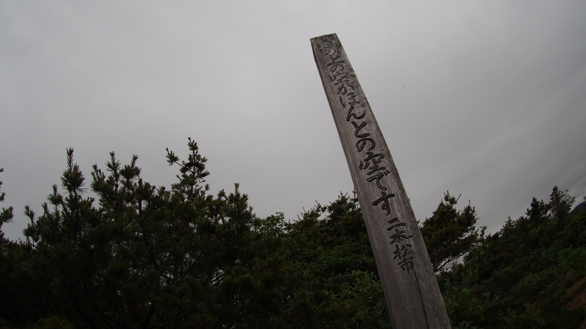f:id:one00one:20200625220934j:plain
