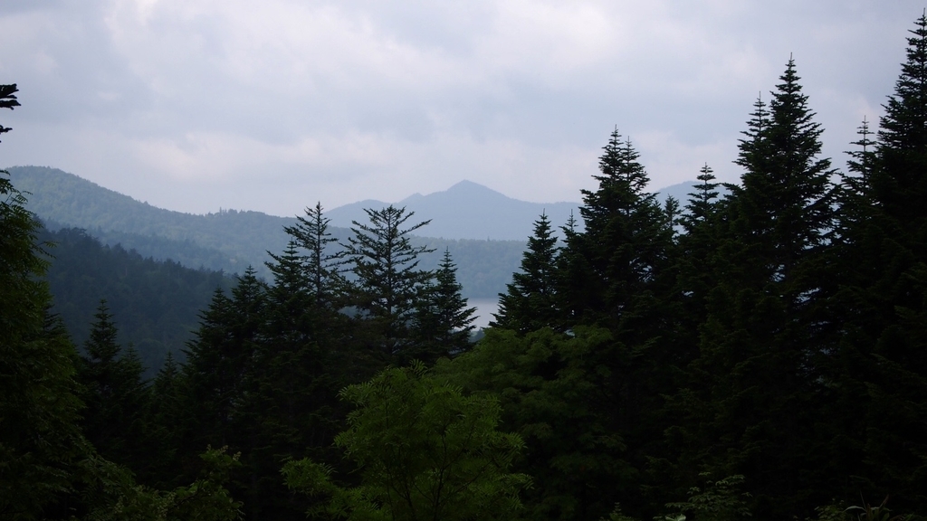 f:id:one00one:20200822133928j:plain