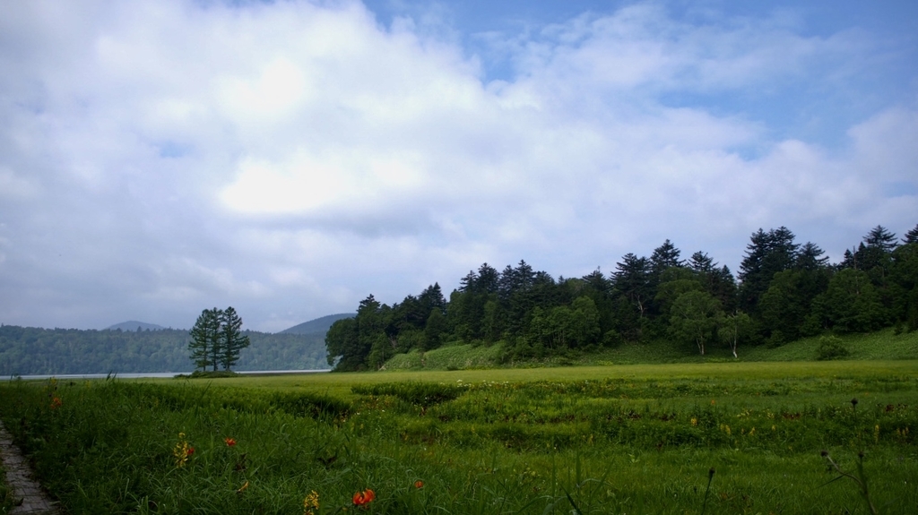f:id:one00one:20200822134535j:plain