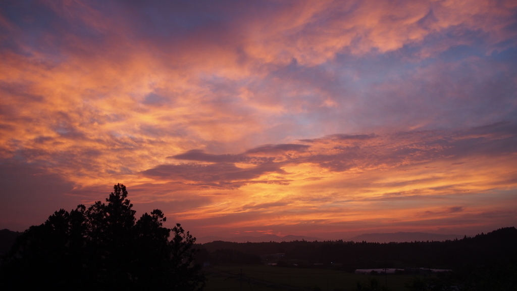 f:id:one00one:20200823163209j:plain