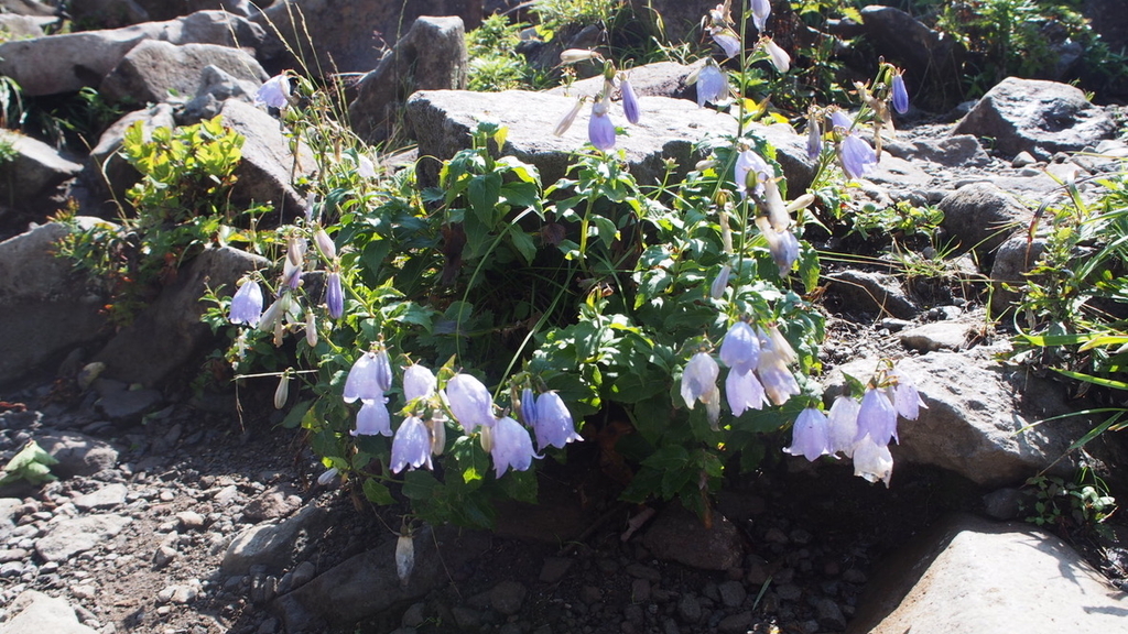 f:id:one00one:20200823163307j:plain