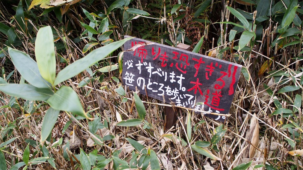 f:id:one00one:20201004144535j:plain