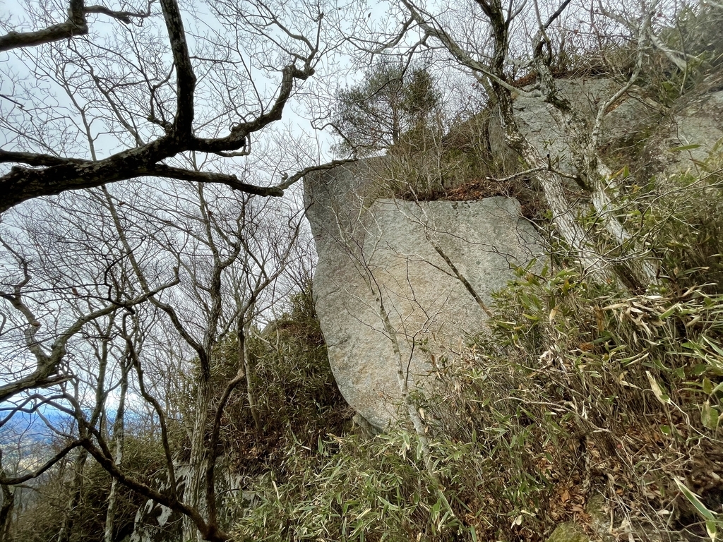 f:id:one00one:20201125095537j:plain