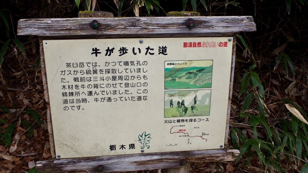 f:id:one00one:20201125235259j:plain