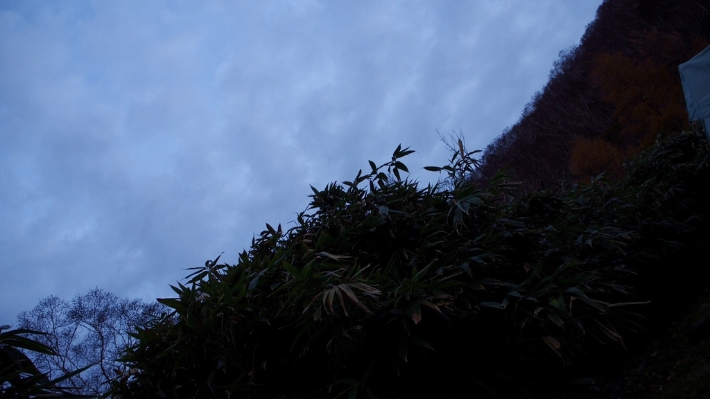 f:id:one00one:20201126085047j:plain