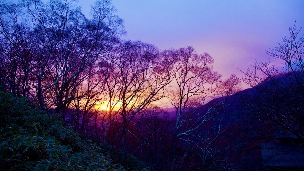 f:id:one00one:20201126085058j:plain