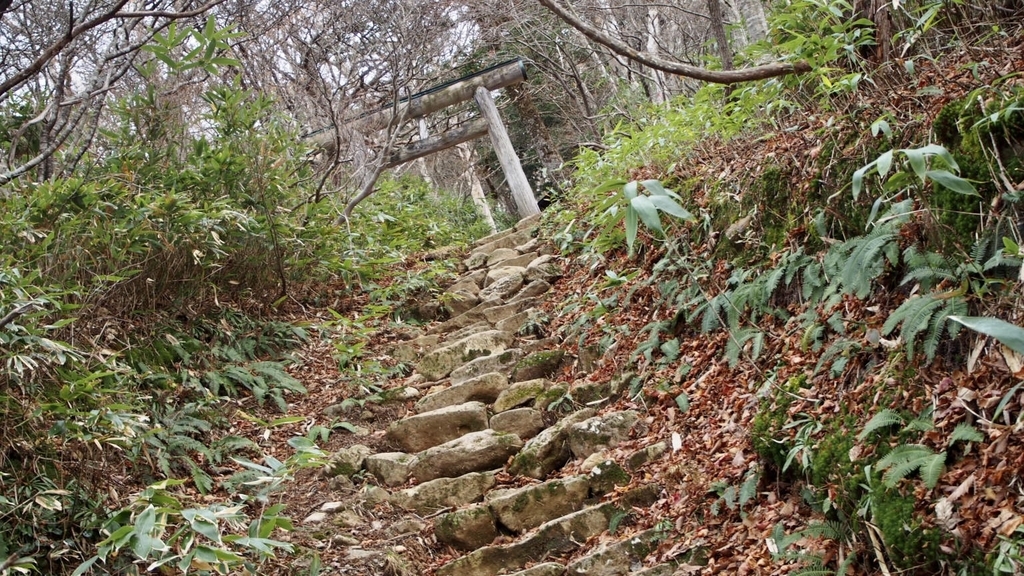 f:id:one00one:20201126085109j:plain