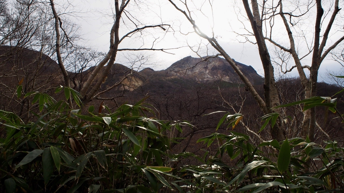 f:id:one00one:20201126102518j:plain