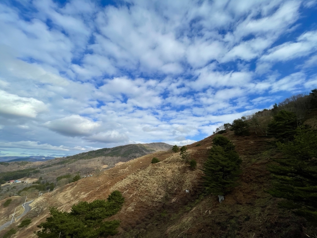 f:id:one00one:20201202095237j:plain