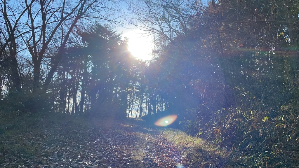 f:id:one00one:20201208090704j:plain