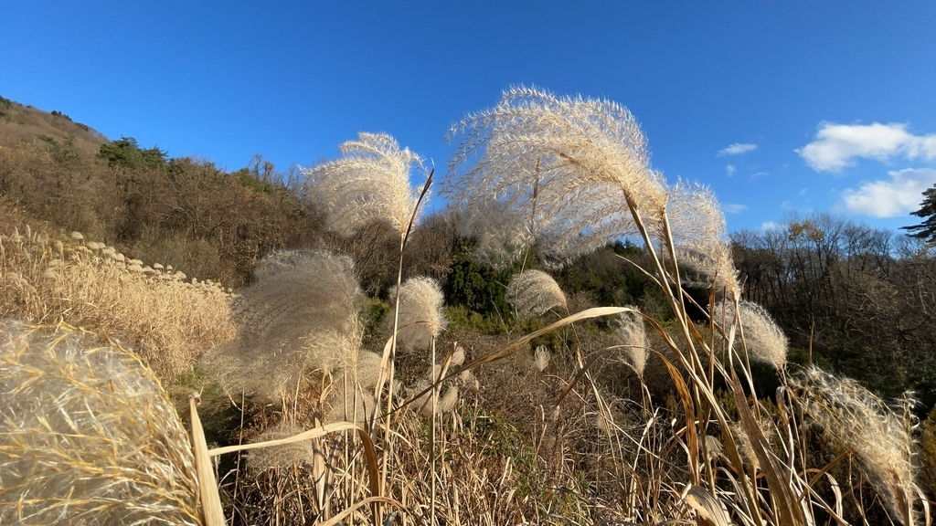 f:id:one00one:20201208090722j:plain