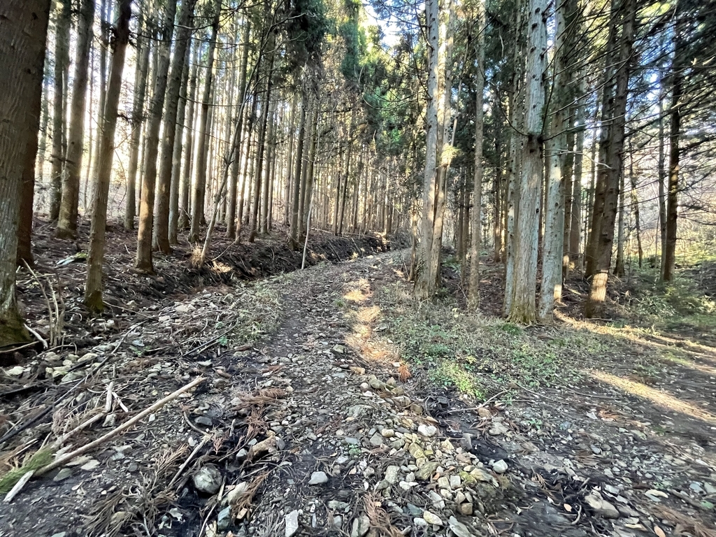 f:id:one00one:20201208090736j:plain