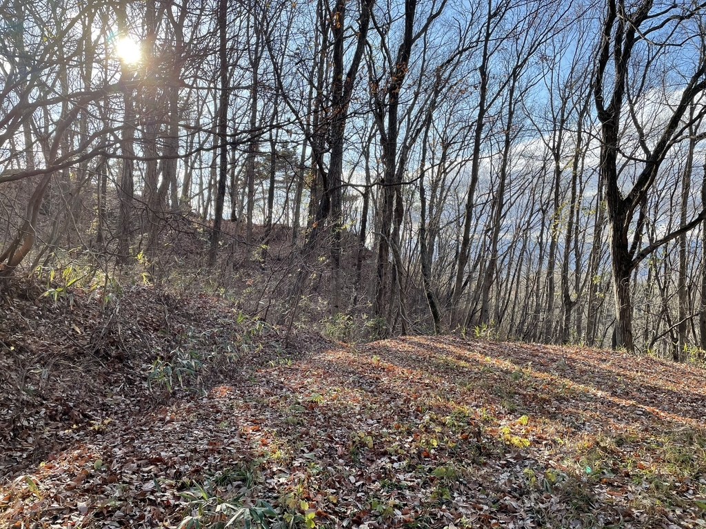 f:id:one00one:20201208090749j:plain