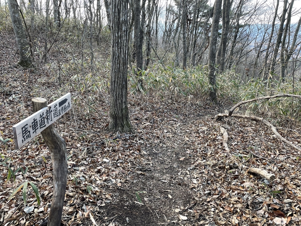 f:id:one00one:20201208090802j:plain