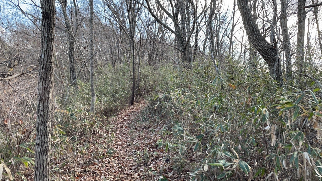 f:id:one00one:20201208090850j:plain