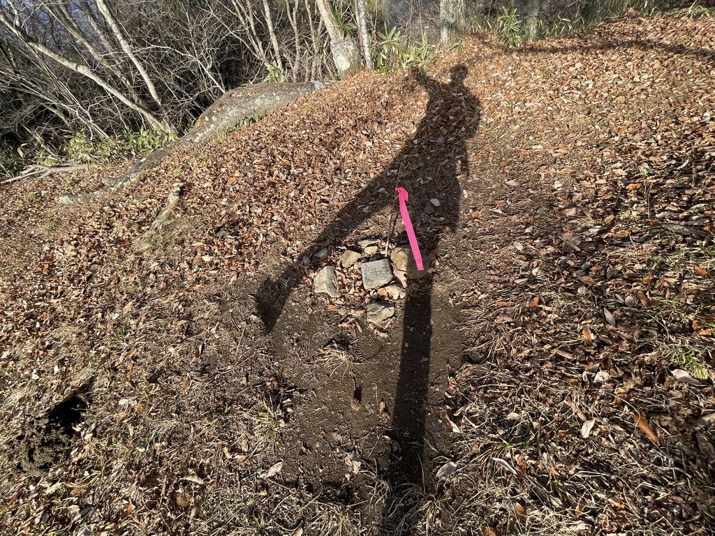 f:id:one00one:20201208090914j:plain