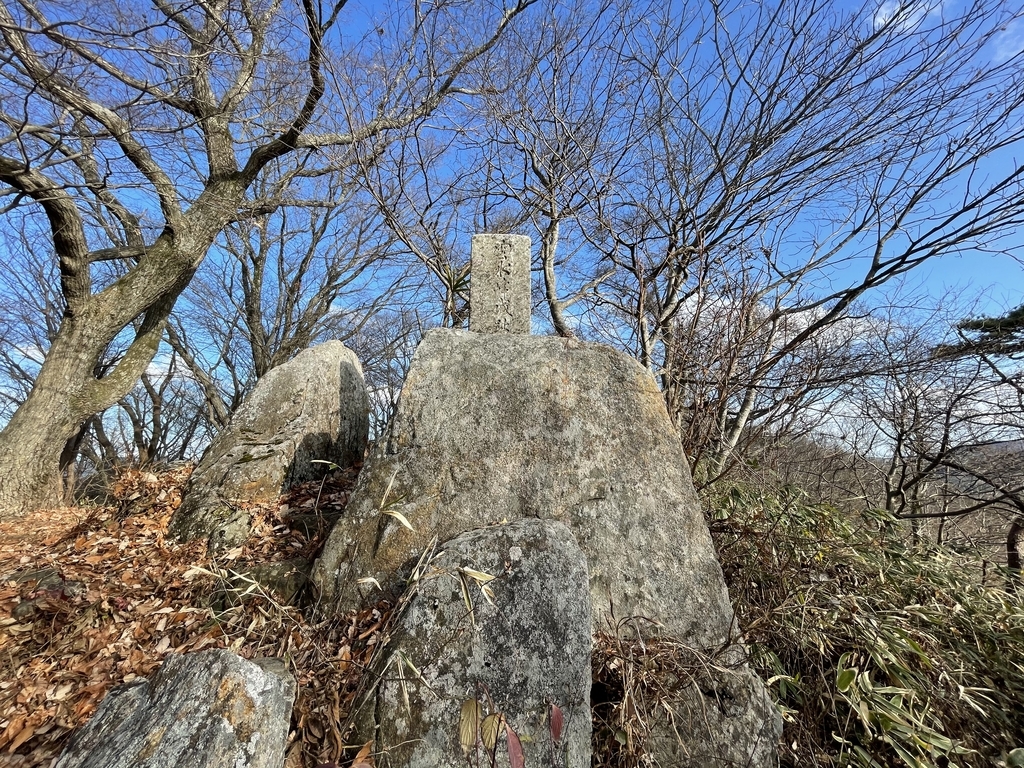 f:id:one00one:20201208090928j:plain