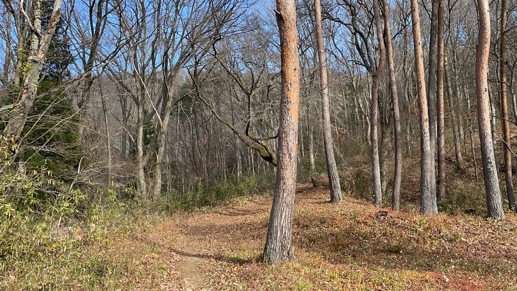 f:id:one00one:20201208091018j:plain