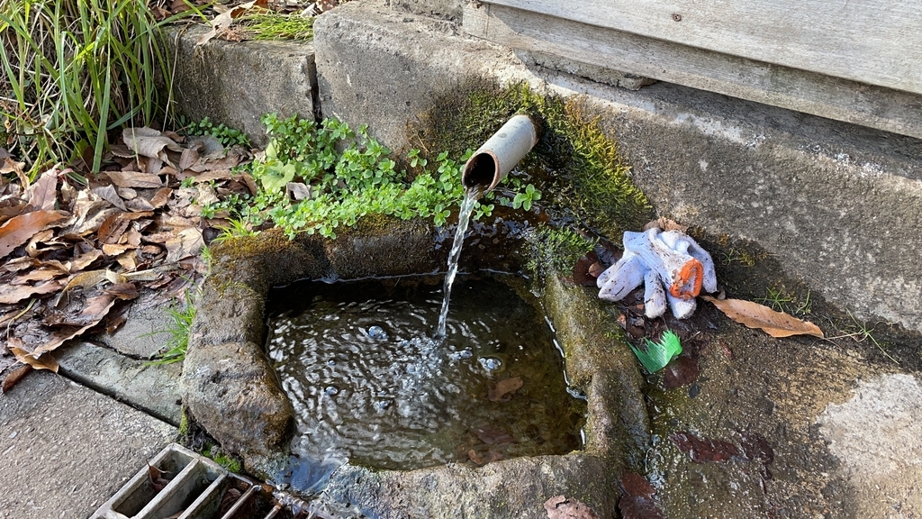 f:id:one00one:20201208091030j:plain