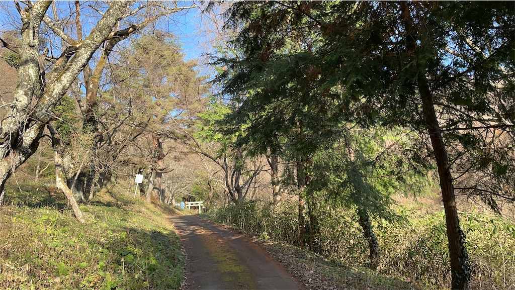 f:id:one00one:20201208140815j:plain