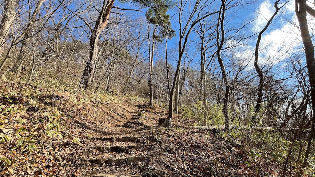 f:id:one00one:20201208140822j:plain