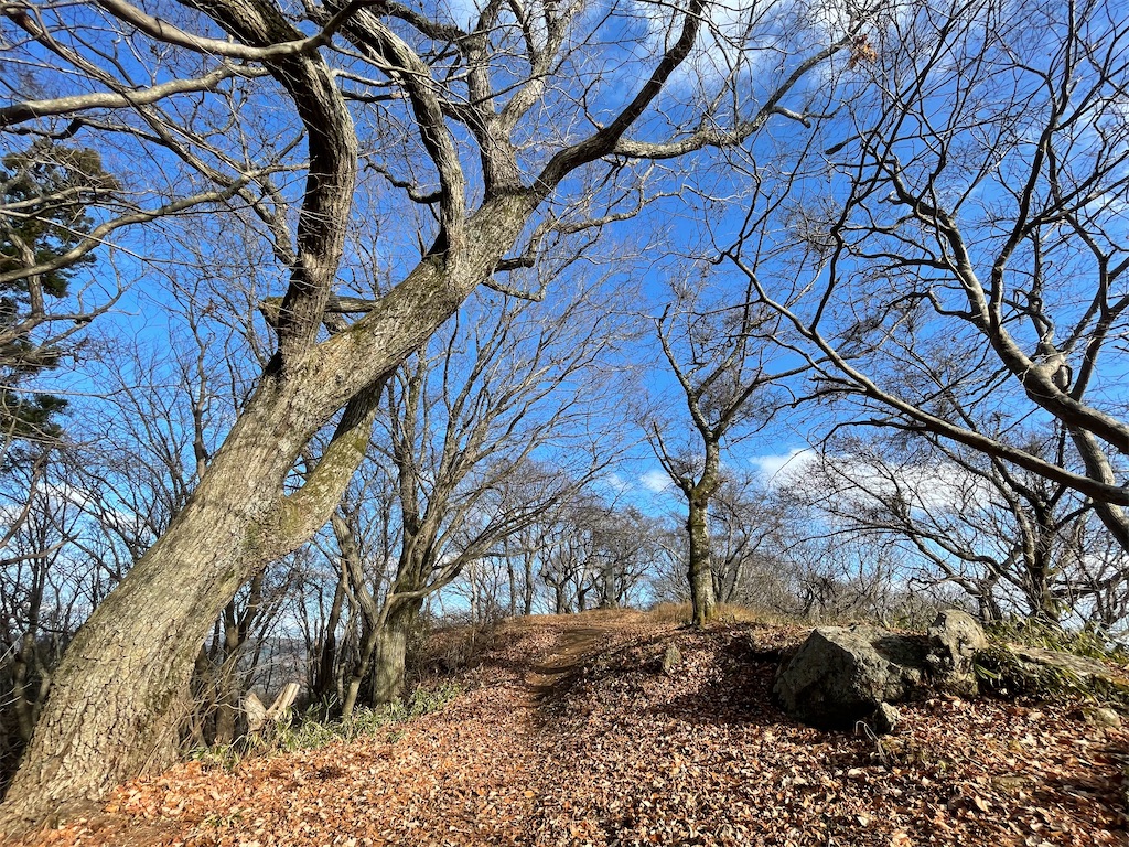 f:id:one00one:20201208140826j:plain