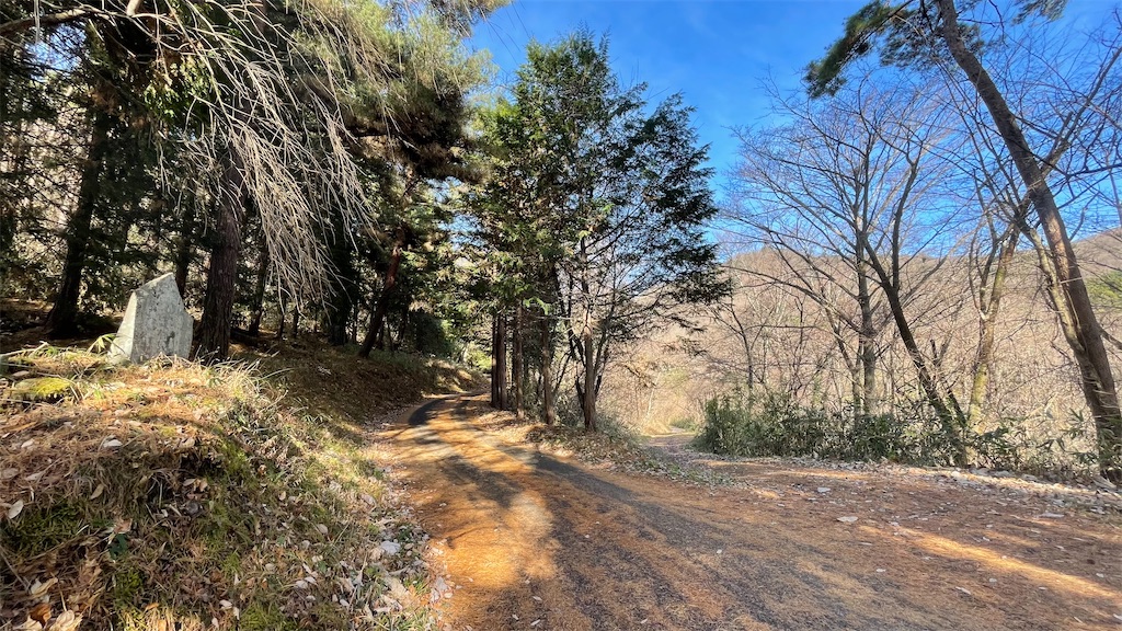 f:id:one00one:20201208140829j:plain