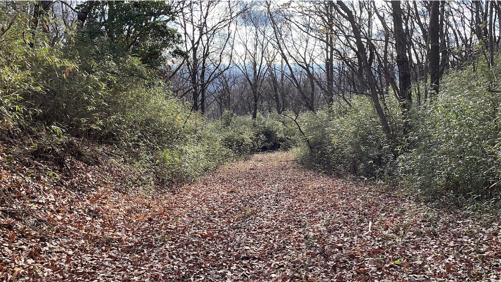 f:id:one00one:20201208140832j:plain