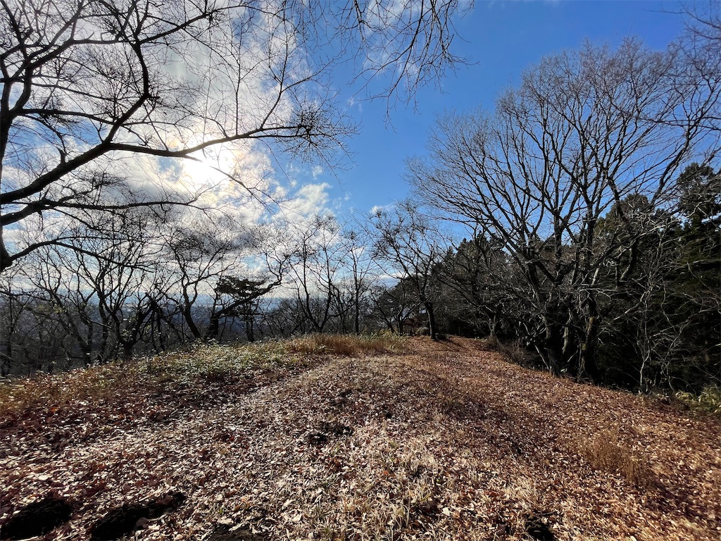 f:id:one00one:20201208140835j:plain