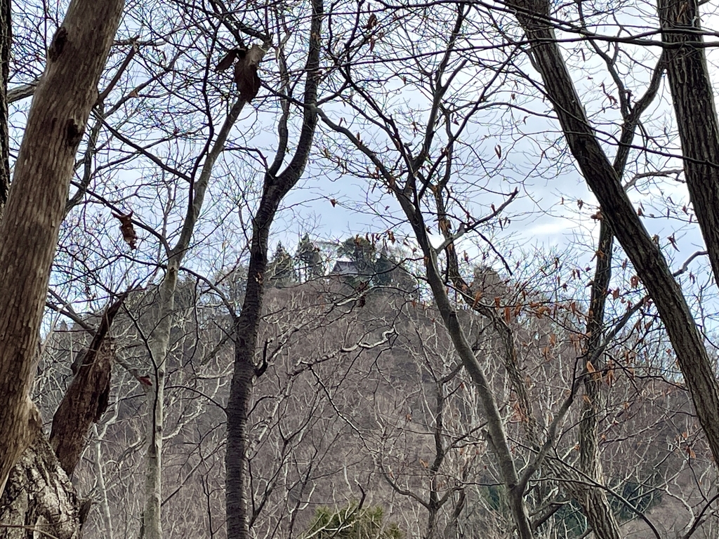 f:id:one00one:20201223114731j:plain