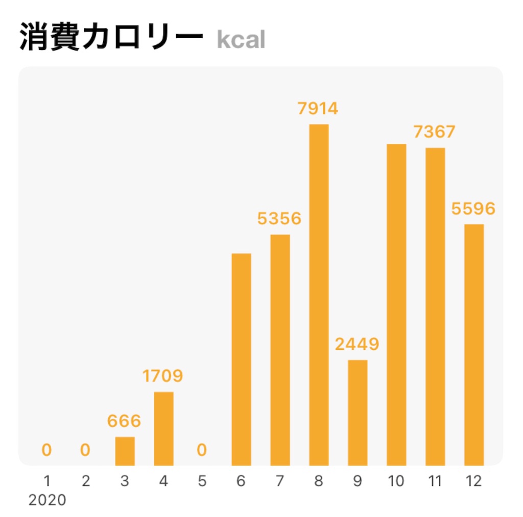 f:id:one00one:20201231220303j:plain