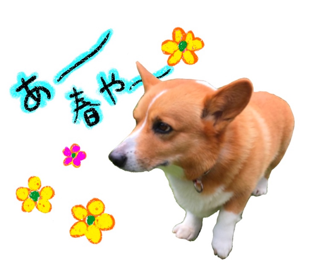 f:id:one00one:20210423073055j:plain
