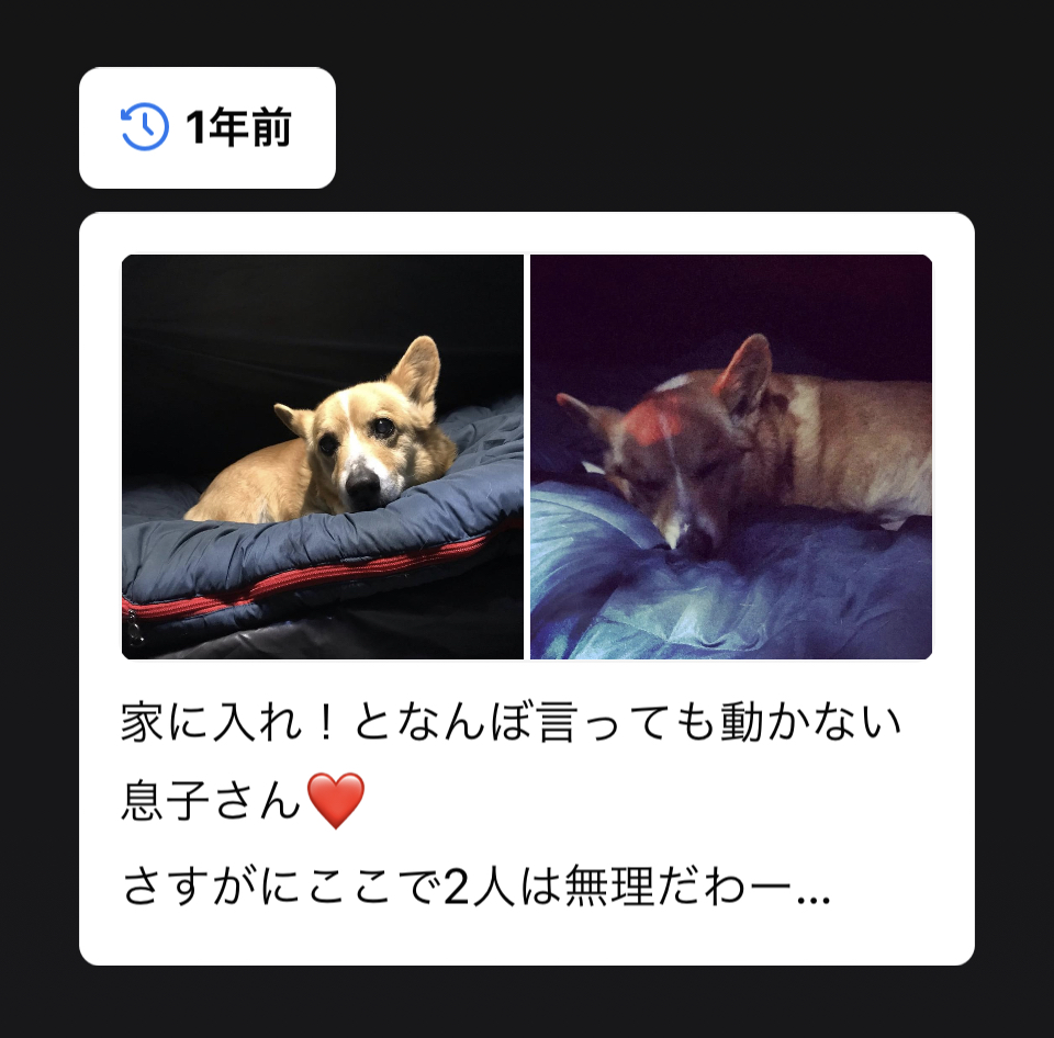 f:id:one00one:20210429104813j:plain