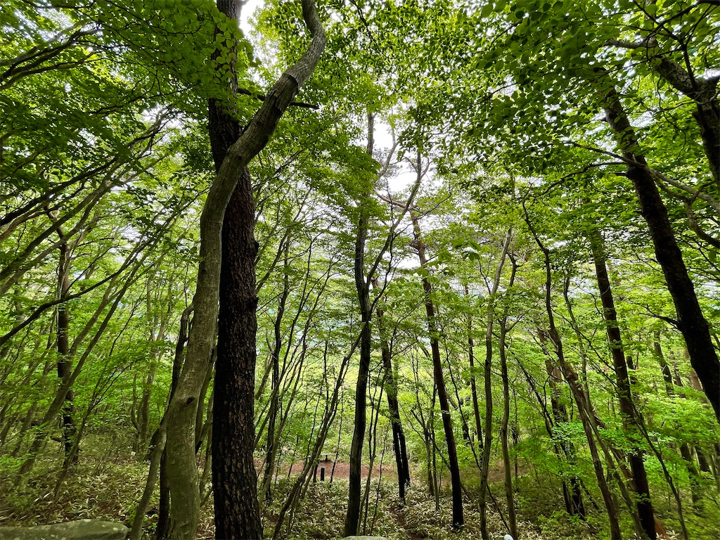 f:id:one00one:20210523171248j:plain