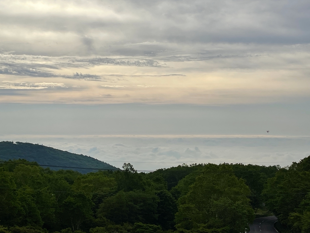 f:id:one00one:20210614171722j:plain