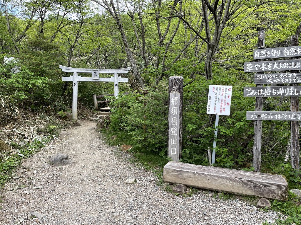 f:id:one00one:20210614171734j:plain