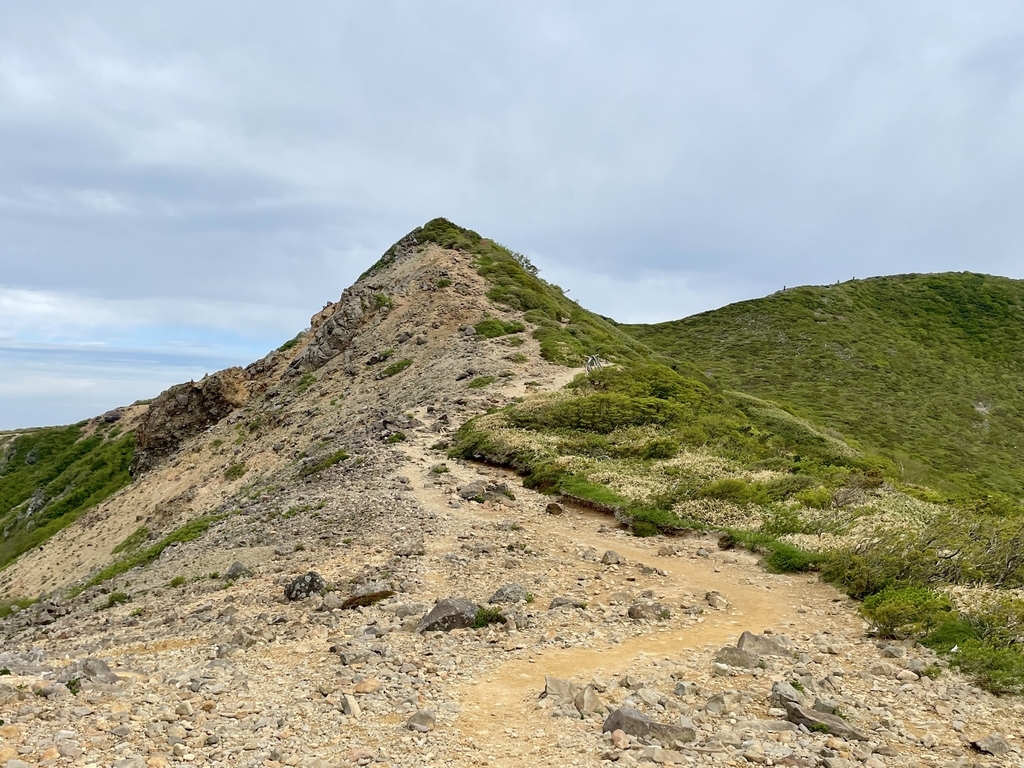 f:id:one00one:20210614172012j:plain