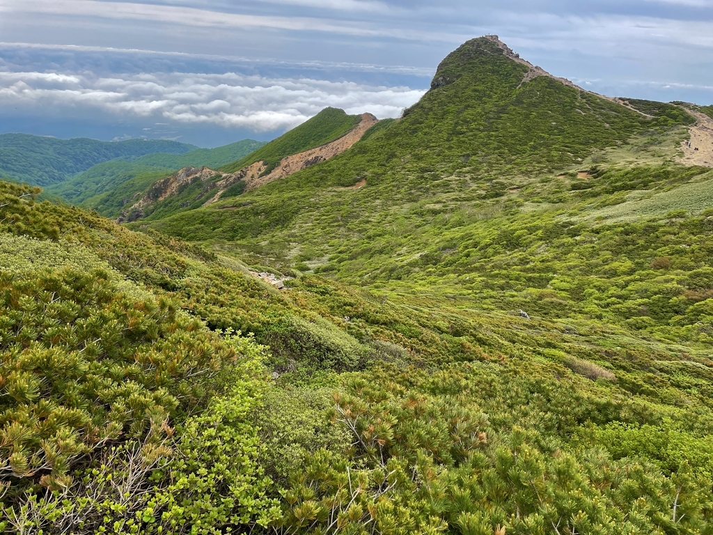 f:id:one00one:20210614172107j:plain