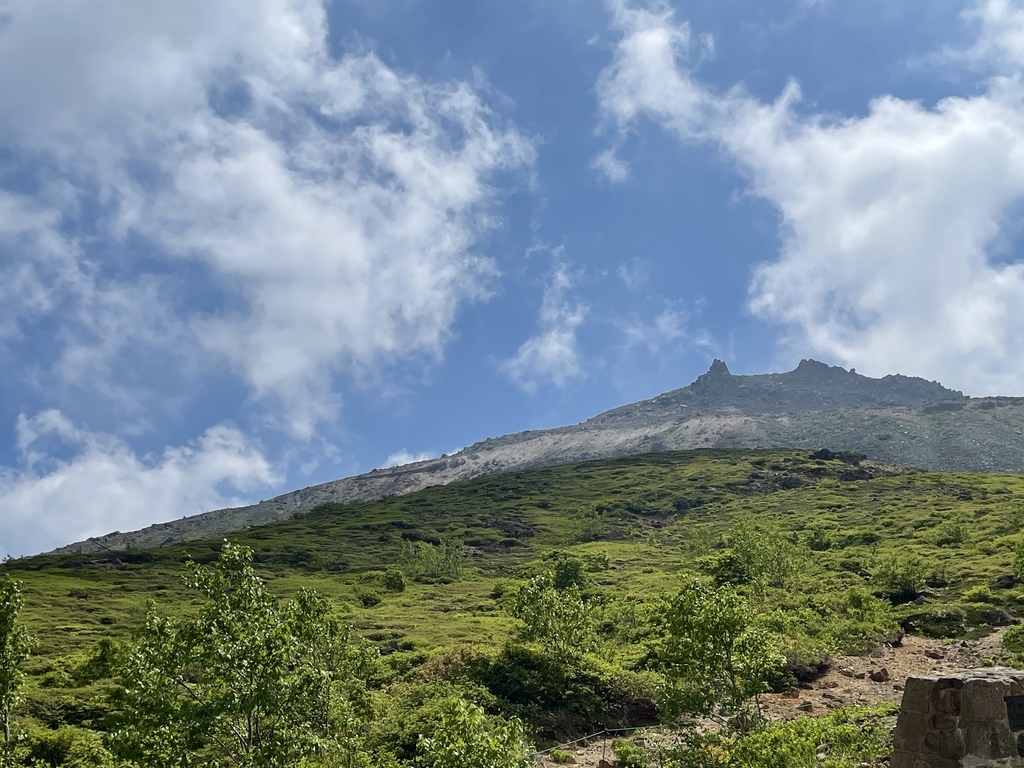 f:id:one00one:20210614172931j:plain